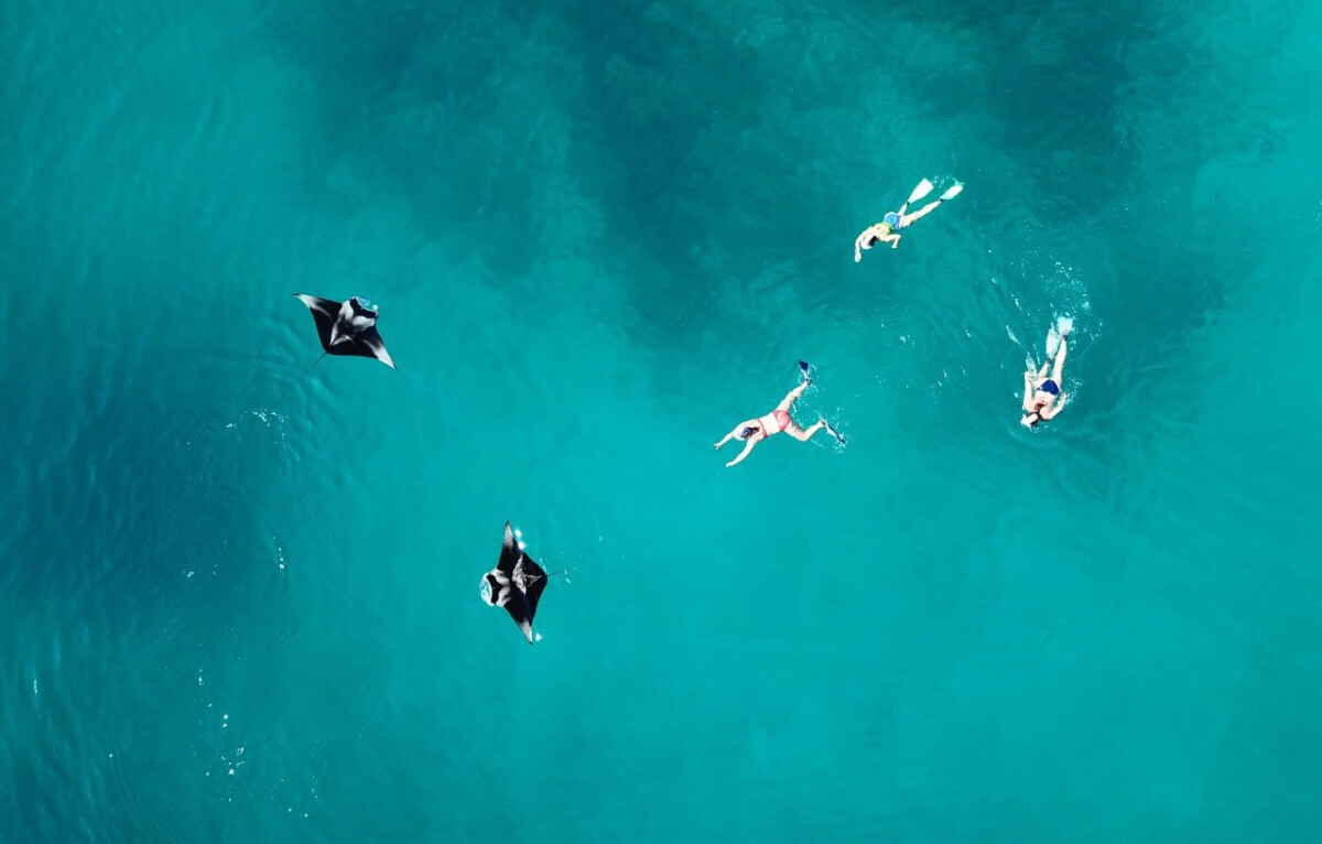 Secret-Paradise-Snorkeling-with-Mantas-1-1