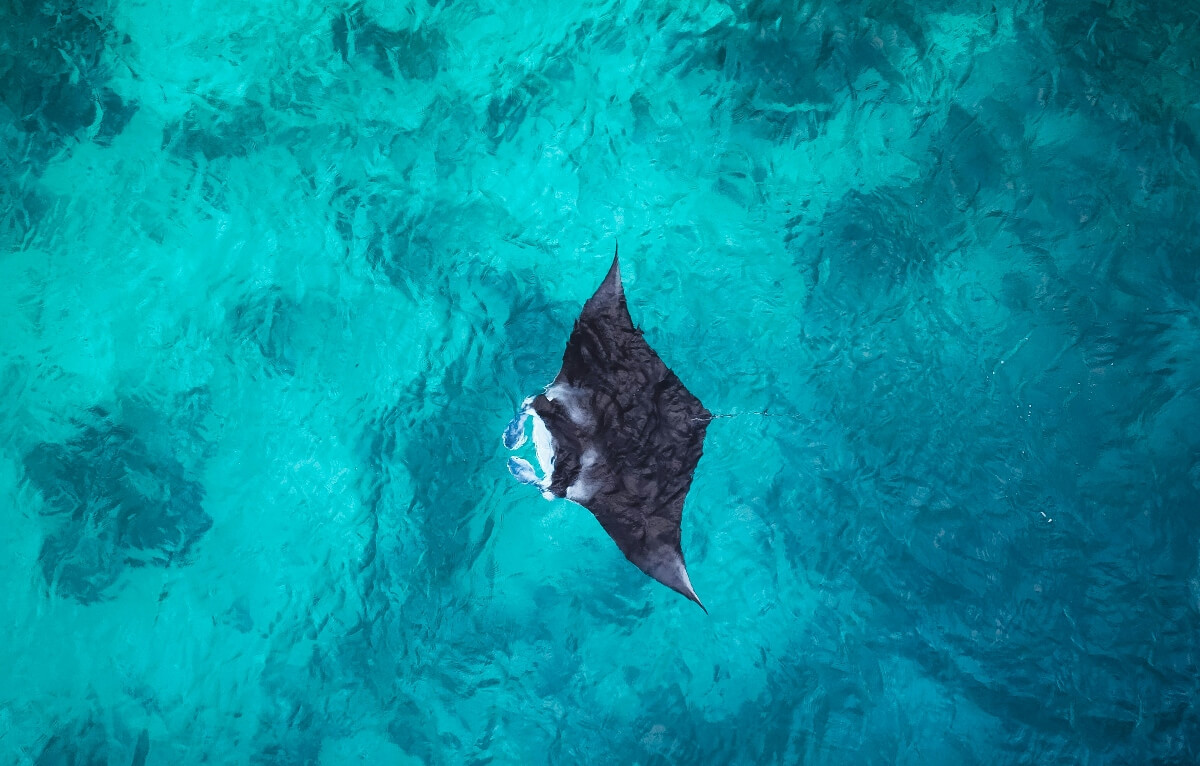 hamdhulla-shakeeb-Lgr3ICzpQ3s-unsplash-1-1