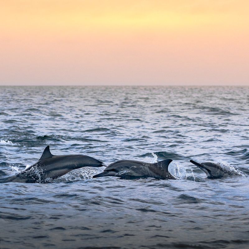 WEBSITE IMAGE ITINERARY IMAGE (1)