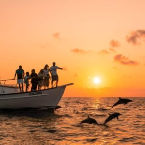 Sunset Dolphin Cruise
